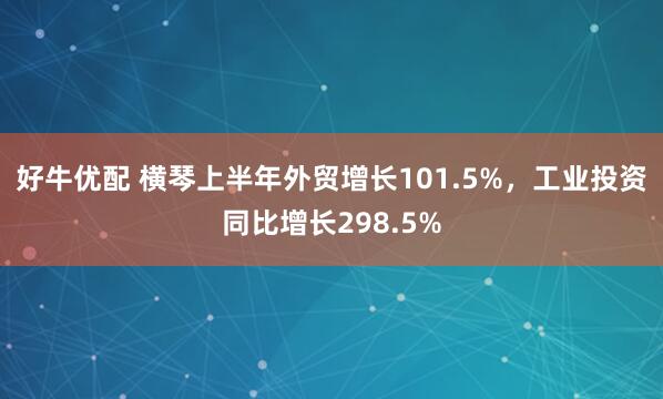 好牛优配 横琴上半年外贸增长101.5%，工业投资同比增长298.5%