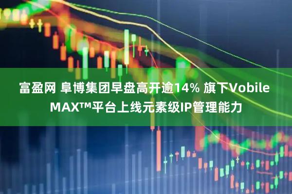 富盈网 阜博集团早盘高开逾14% 旗下Vobile MAX™平台上线元素级IP管理能力