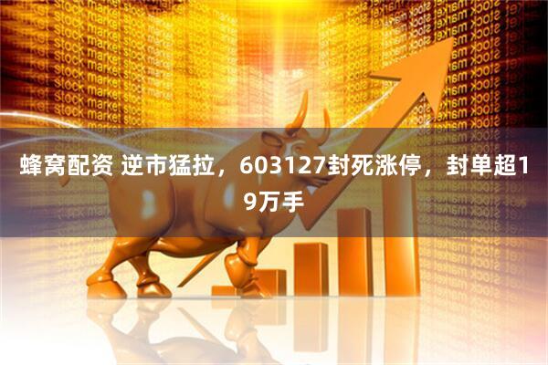 蜂窝配资 逆市猛拉，603127封死涨停，封单超19万手
